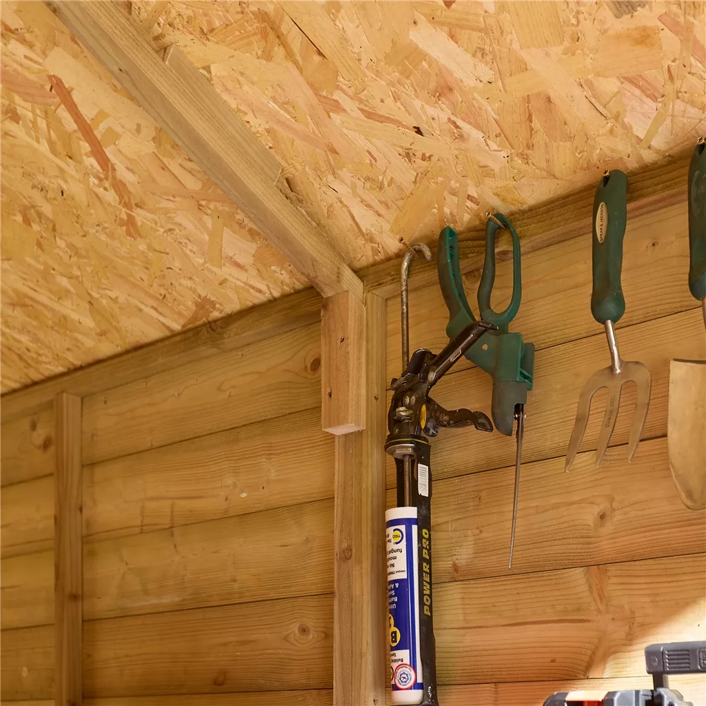 8ft x 6ft Windowless, Single Door - 12mm Shiplap Apex Shed product image